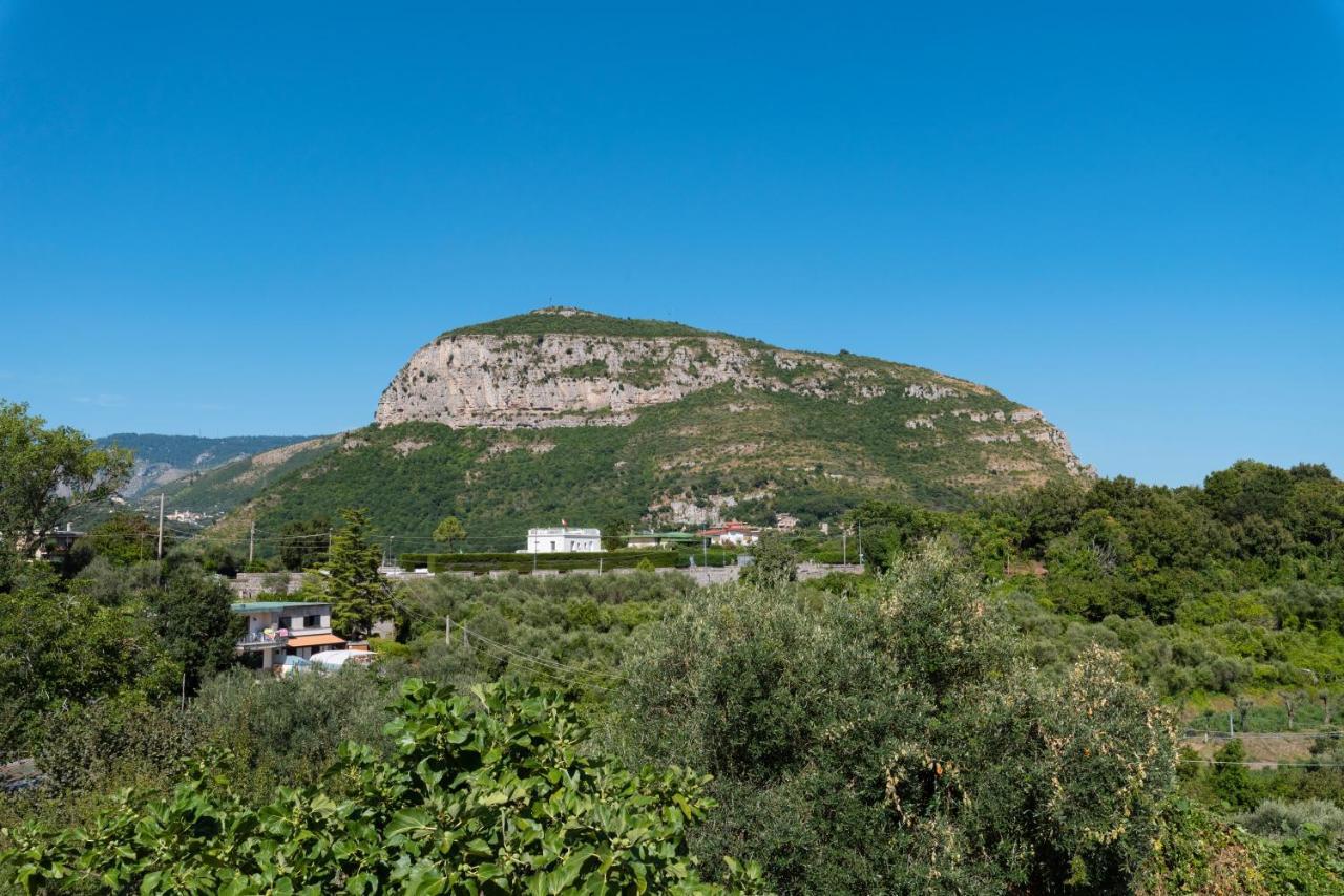 Villa Anna - De Vivo Realty Piano Di Sorrento Extérieur photo
